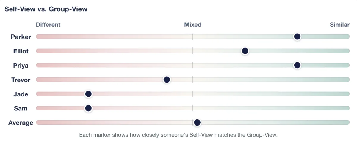 Example comparison showing how closely each member's self-view matches the group-view.
